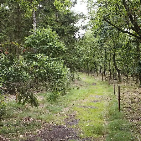 Hedemarken ホテル 3*