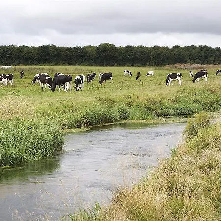 Hedemarken 3*