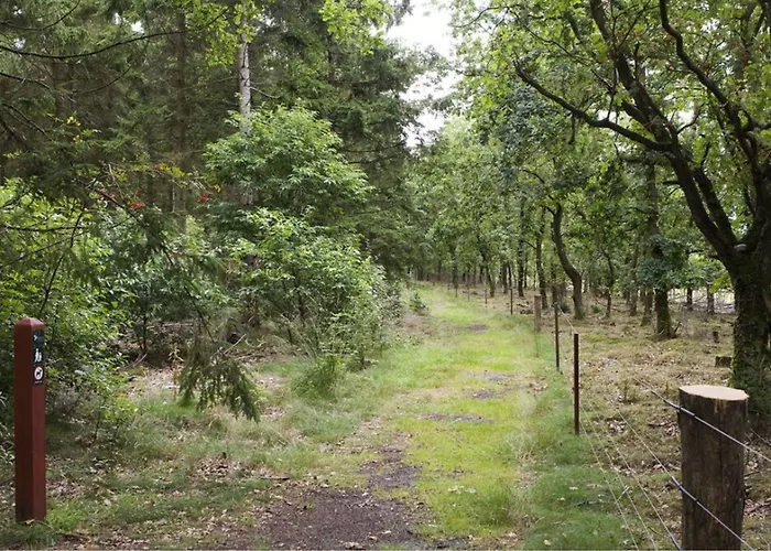 Hedemarken Grindsted